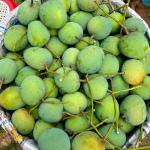 গোবিন্দভোগ আম (GobindobhogMango)